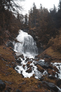 Scenic view of waterfall in forest