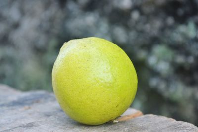 Close-up of lemon