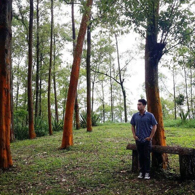 tree, lifestyles, casual clothing, leisure activity, young adult, tree trunk, full length, forest, person, young men, standing, grass, growth, nature, three quarter length, green color, rear view, sitting