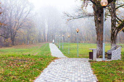 Footpath in park