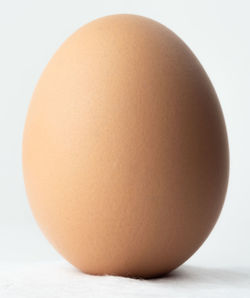 Close-up of egg against white background