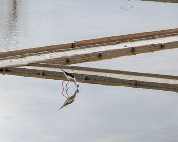 High angle view of wooden post in lake during winter