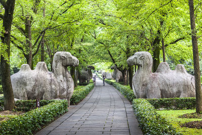 Footpath by statues at ming xiaoling mausoleum