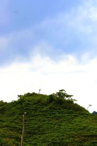 Scenic view of grassy field against sky