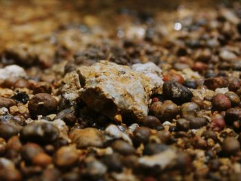 Full frame shot of stones