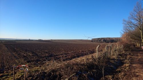 Scenic view of field against clear blue sky