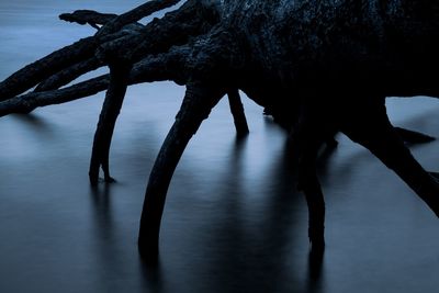 Close-up of frozen lake