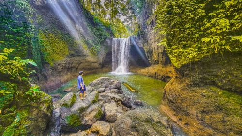 Rear view of man standing in waterfall