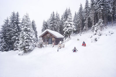 Austria, altenmarkt-zauchensee, family tobogganing at wooden house at christmas time