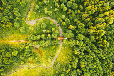 Top view of the valley of a meandering river among green forests