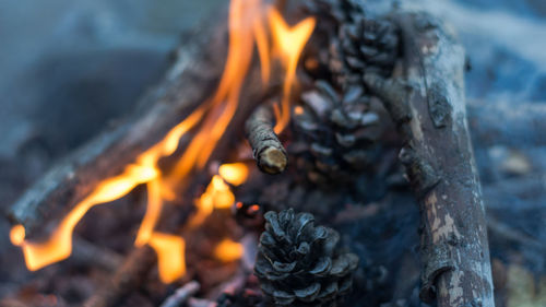 Close-up of bonfire