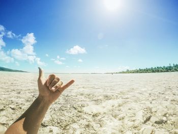 Cropped hand of man gesturing shaka sign at beach