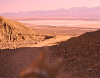 Rear view of man walking on land