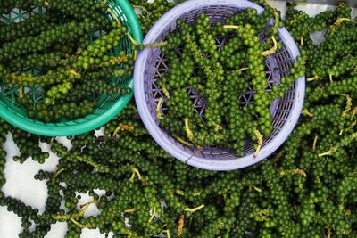 High angle view of wicker basket