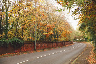 Road amidst trees against sky during autumn