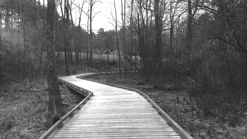 Empty road passing through forest