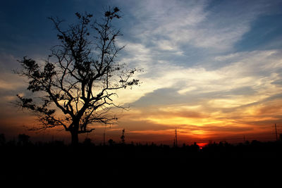Silhouette bare tree on field against sky at sunset