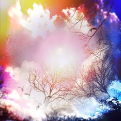 Low angle view of trees against sky