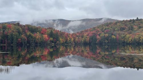Scenic view of lake by trees against sky