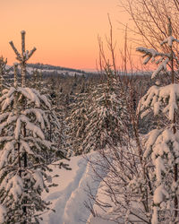 Scenic view of snow covered field against sky during sunset