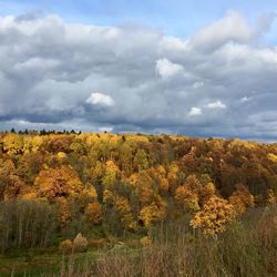 Scenic view of trees against sky during autumn