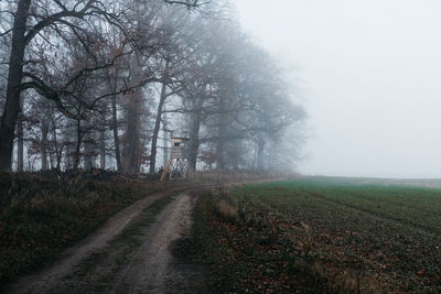 Road amidst trees on field against sky