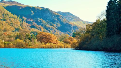 Scenic view of lake by trees against blue sky