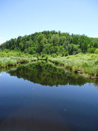 Scenic view of lake in forest against clear sky