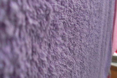 Close-up of purple wall