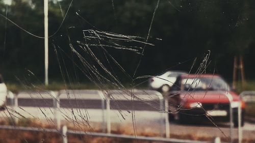 Close-up of spider web