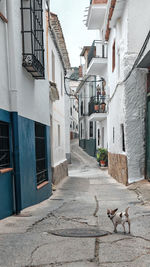 Rear view of man walking on street