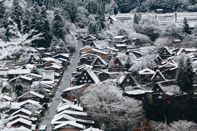 High angle view of snow covered trees and building