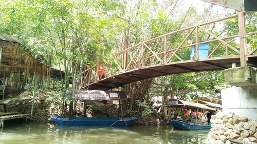 Bridge over river amidst trees and plants