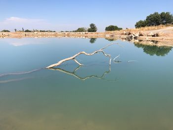 Reflection of tree in lake against clear sky