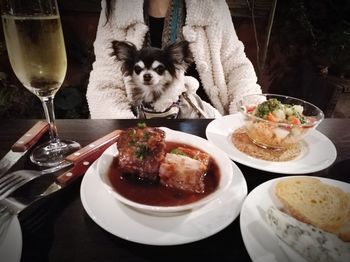 High angle view of a dog on table