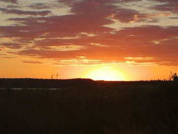 Scenic view of silhouette field against sky during sunset