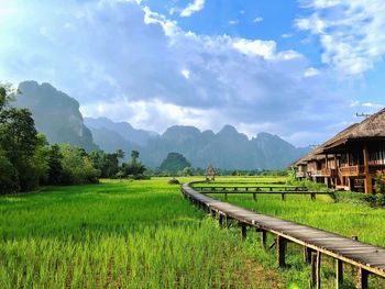 Scenic view of agricultural field against sky