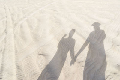 Shadow of couple on sand at beach during sunny day