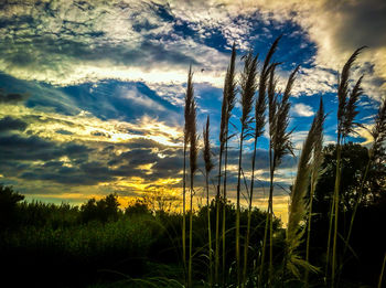 Scenic view of field against cloudy sky