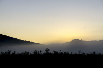 Silhouette trees on mountain against sky during foggy weather