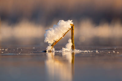 Close-up of frozen water against sky