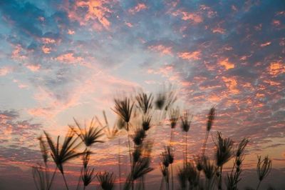 Scenic view of landscape against cloudy sky