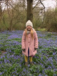 A bed of bluebells