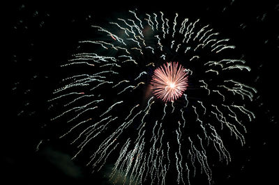 Low angle view of firework display at night