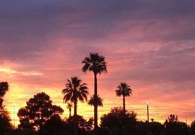 Low angle view of silhouette palm trees against dramatic sky