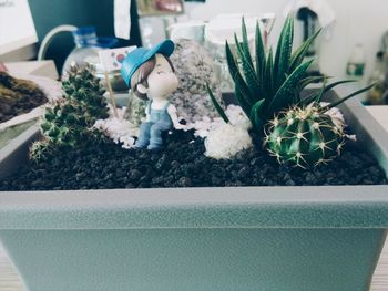 Close-up of potted plants on table