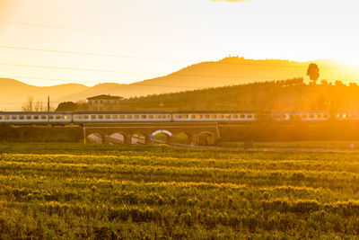 Scenic view of field against sky during sunset