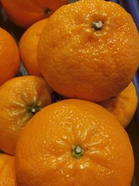 High angle view of oranges