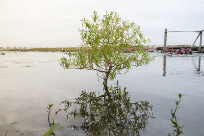 Scenic view of lake against sky