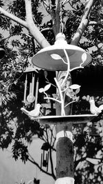 Low angle view of lanterns hanging on tree trunk